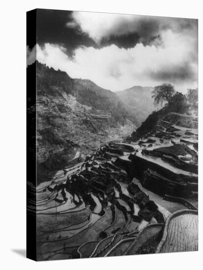 Rice Terraces in the Philippines Photograph - Philippines-Lantern Press-Stretched Canvas