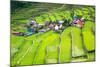 Rice Terraces in the Philippines. the Village is in a Valley among the Rice Terraces. Rice Cultivat-Frolova_Elena-Mounted Photographic Print