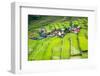 Rice Terraces in the Philippines. the Village is in a Valley among the Rice Terraces. Rice Cultivat-Frolova_Elena-Framed Photographic Print