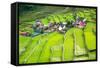 Rice Terraces in the Philippines. the Village is in a Valley among the Rice Terraces. Rice Cultivat-Frolova_Elena-Framed Stretched Canvas