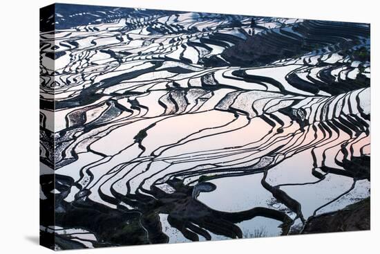 Rice Terraces in Yuanyang, Yunnan, China-Nadia Isakova-Stretched Canvas