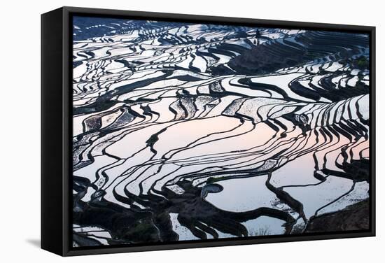 Rice Terraces in Yuanyang, Yunnan, China-Nadia Isakova-Framed Stretched Canvas