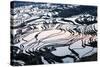 Rice Terraces in Yuanyang, Yunnan, China-Nadia Isakova-Stretched Canvas