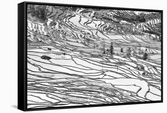 Rice Terraces in Yuanyang, Yunnan, China-Nadia Isakova-Framed Stretched Canvas