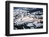 Rice Terraces in Yuanyang, Yunnan, China-Nadia Isakova-Framed Photographic Print