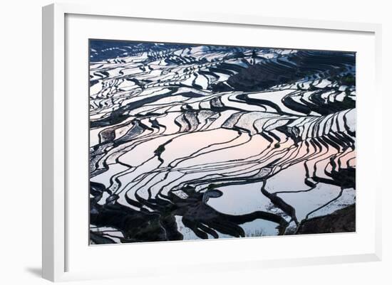 Rice Terraces in Yuanyang, Yunnan, China-Nadia Isakova-Framed Photographic Print