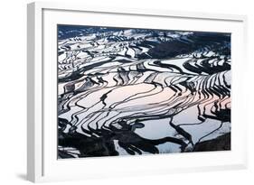 Rice Terraces in Yuanyang, Yunnan, China-Nadia Isakova-Framed Photographic Print