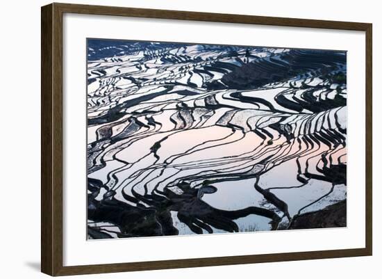 Rice Terraces in Yuanyang, Yunnan, China-Nadia Isakova-Framed Photographic Print