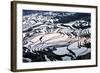 Rice Terraces in Yuanyang, Yunnan, China-Nadia Isakova-Framed Photographic Print
