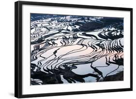 Rice Terraces in Yuanyang, Yunnan, China-Nadia Isakova-Framed Photographic Print