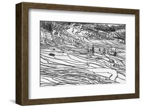 Rice Terraces in Yuanyang, Yunnan, China-Nadia Isakova-Framed Photographic Print