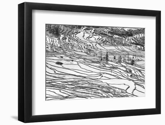 Rice Terraces in Yuanyang, Yunnan, China-Nadia Isakova-Framed Photographic Print