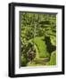 Rice Terraces Near Tegallalang Village, Bali, Indonesia, Southeast Asia, Asia-Richard Maschmeyer-Framed Photographic Print
