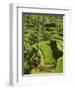 Rice Terraces Near Tegallalang Village, Bali, Indonesia, Southeast Asia, Asia-Richard Maschmeyer-Framed Photographic Print