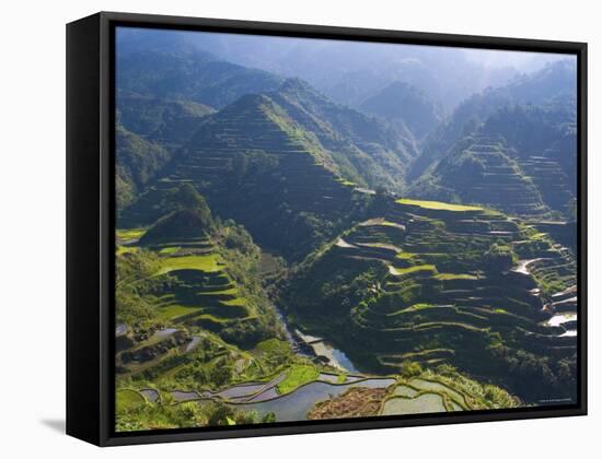 Rice Terraces of Banaue, Luzon Island, Philippines-Michele Falzone-Framed Stretched Canvas