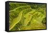 Rice Terraces of Banaue, Northern Luzon, Philippines-Michael Runkel-Framed Stretched Canvas