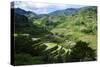 Rice Terraces of Banaue, Northern Luzon, Philippines-Michael Runkel-Stretched Canvas