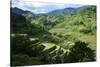 Rice Terraces of Banaue, Northern Luzon, Philippines-Michael Runkel-Stretched Canvas