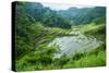 Rice Terraces of Banaue, Northern Luzon, Philippines-Michael Runkel-Stretched Canvas