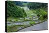 Rice Terraces of Banaue, Northern Luzon, Philippines-Michael Runkel-Stretched Canvas