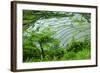 Rice Terraces of Banaue, Northern Luzon, Philippines-Michael Runkel-Framed Photographic Print