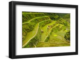 Rice Terraces of Banaue, Northern Luzon, Philippines-Michael Runkel-Framed Photographic Print