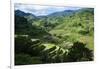 Rice Terraces of Banaue, Northern Luzon, Philippines-Michael Runkel-Framed Photographic Print