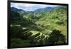 Rice Terraces of Banaue, Northern Luzon, Philippines-Michael Runkel-Framed Photographic Print