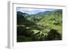 Rice Terraces of Banaue, Northern Luzon, Philippines-Michael Runkel-Framed Photographic Print