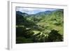 Rice Terraces of Banaue, Northern Luzon, Philippines-Michael Runkel-Framed Photographic Print