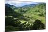 Rice Terraces of Banaue, Northern Luzon, Philippines-Michael Runkel-Mounted Photographic Print