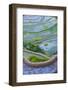 Rice Terraces of Banaue, Northern Luzon, Philippines-Michael Runkel-Framed Photographic Print