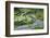 Rice Terraces of Banaue, Northern Luzon, Philippines-Michael Runkel-Framed Photographic Print