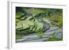 Rice Terraces of Banaue, Northern Luzon, Philippines-Michael Runkel-Framed Photographic Print