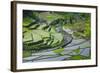 Rice Terraces of Banaue, Northern Luzon, Philippines-Michael Runkel-Framed Photographic Print