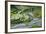 Rice Terraces of Banaue, Northern Luzon, Philippines-Michael Runkel-Framed Photographic Print