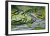 Rice Terraces of Banaue, Northern Luzon, Philippines-Michael Runkel-Framed Photographic Print