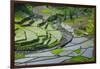 Rice Terraces of Banaue, Northern Luzon, Philippines-Michael Runkel-Framed Photographic Print