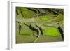 Rice Terraces of Banaue, Northern Luzon, Philippines-Michael Runkel-Framed Photographic Print