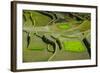 Rice Terraces of Banaue, Northern Luzon, Philippines-Michael Runkel-Framed Photographic Print