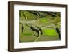 Rice Terraces of Banaue, Northern Luzon, Philippines-Michael Runkel-Framed Photographic Print