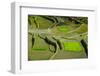 Rice Terraces of Banaue, Northern Luzon, Philippines-Michael Runkel-Framed Photographic Print