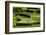 Rice Terraces of Banaue, Northern Luzon, Philippines-Michael Runkel-Framed Photographic Print