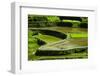 Rice Terraces of Banaue, Northern Luzon, Philippines-Michael Runkel-Framed Photographic Print