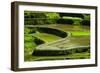 Rice Terraces of Banaue, Northern Luzon, Philippines-Michael Runkel-Framed Photographic Print