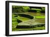 Rice Terraces of Banaue, Northern Luzon, Philippines-Michael Runkel-Framed Photographic Print