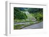 Rice Terraces of Banaue, Northern Luzon, Philippines-Michael Runkel-Framed Photographic Print