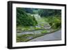 Rice Terraces of Banaue, Northern Luzon, Philippines-Michael Runkel-Framed Photographic Print