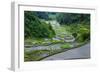 Rice Terraces of Banaue, Northern Luzon, Philippines-Michael Runkel-Framed Photographic Print