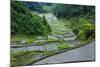 Rice Terraces of Banaue, Northern Luzon, Philippines-Michael Runkel-Mounted Photographic Print